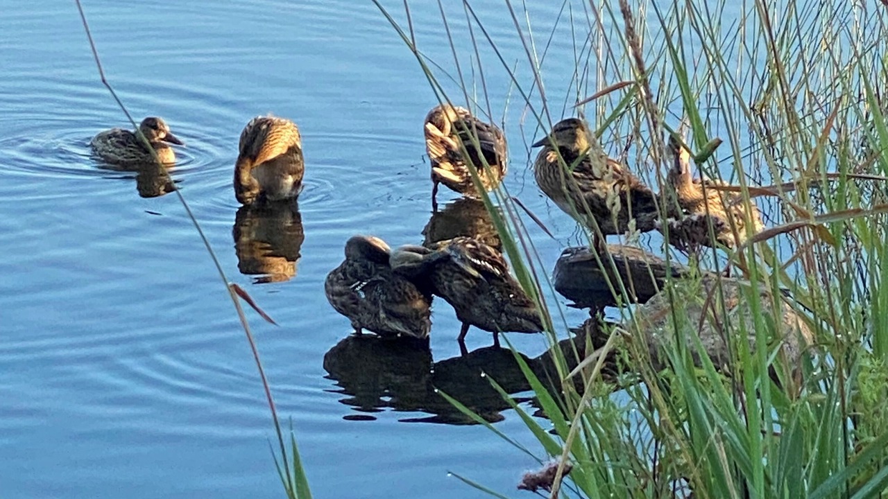 Photo of Outdoor in Chisholm