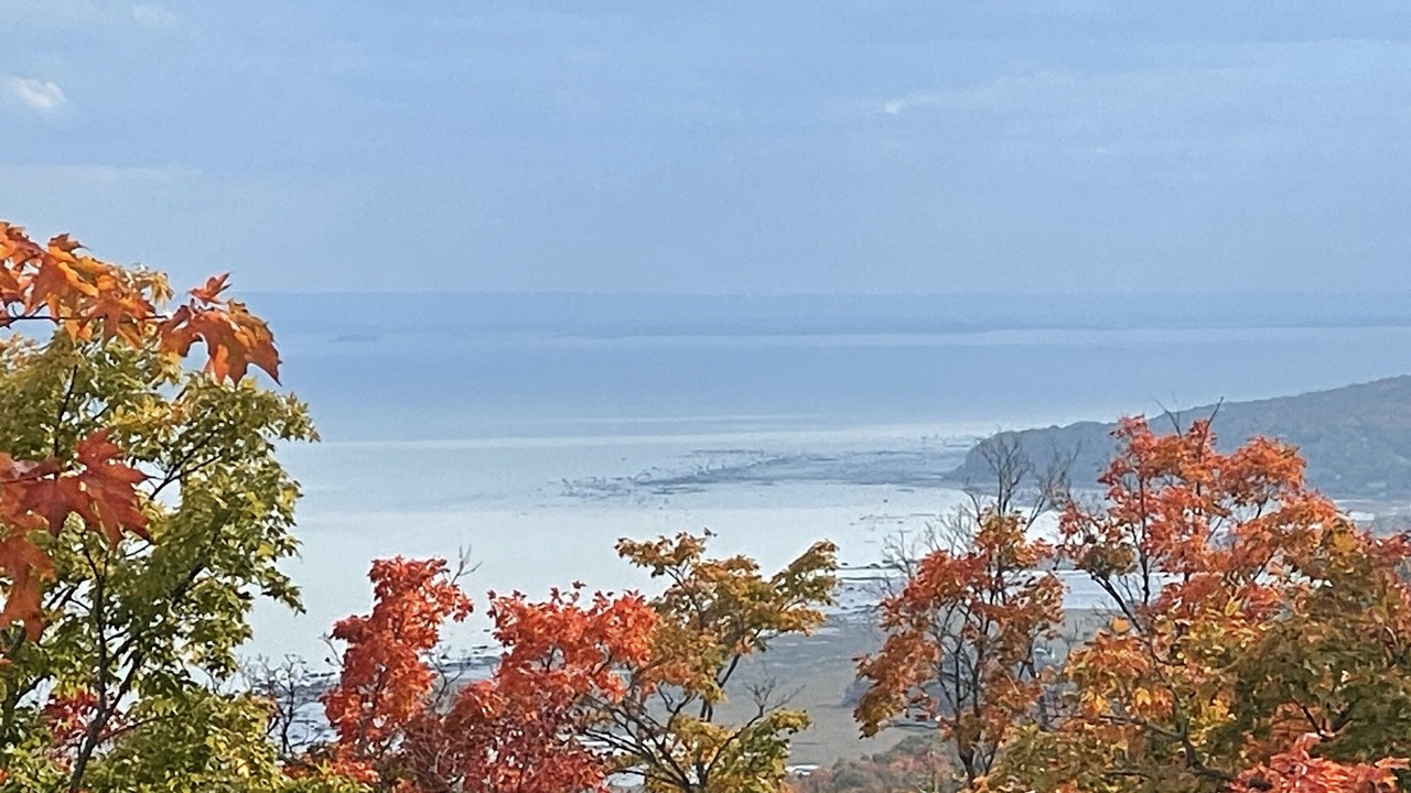 Photo of Others in Petite-Riviere-Saint-Francois