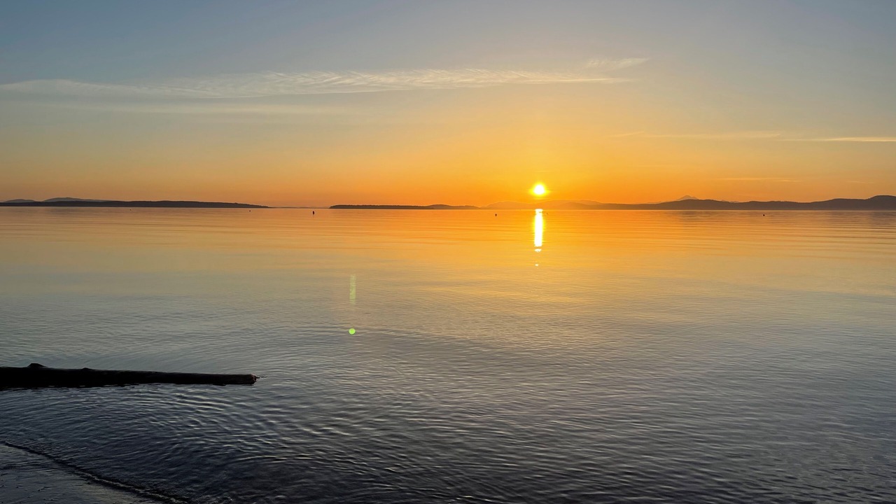 Photo of Others in Cordova Bay