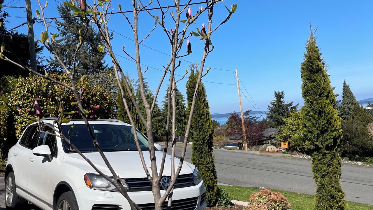 Photo of Outdoor in Cordova Bay