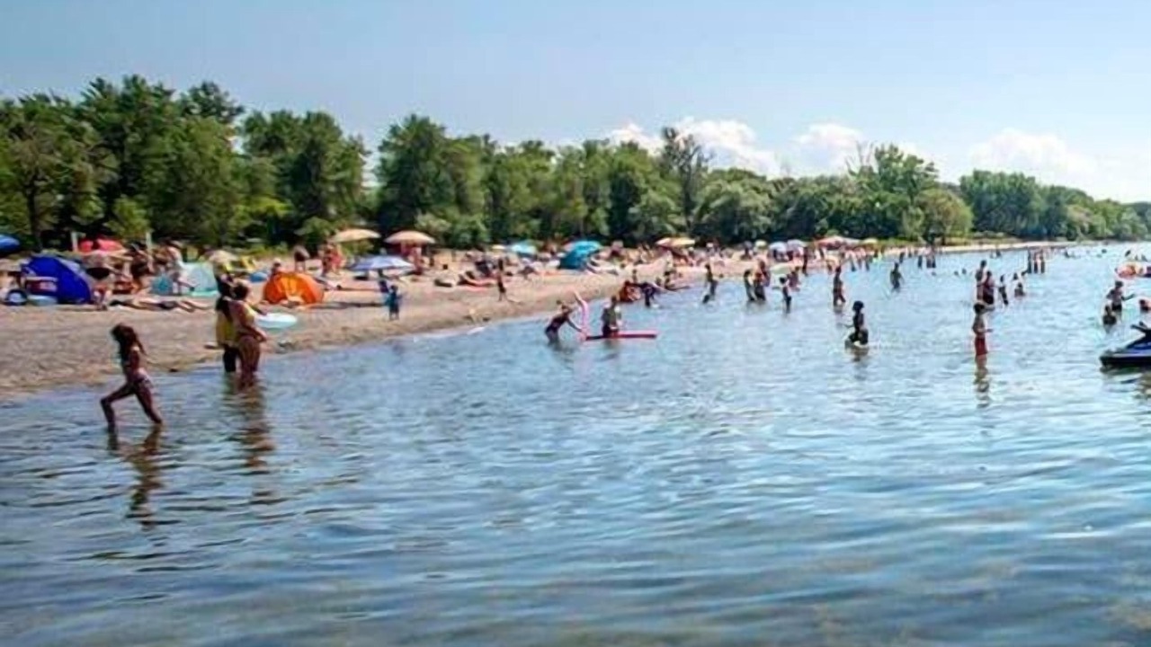 Photo of Others in Port Weller West