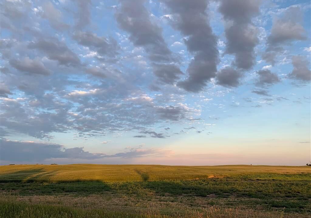 Photo of Others in Saskatchewan