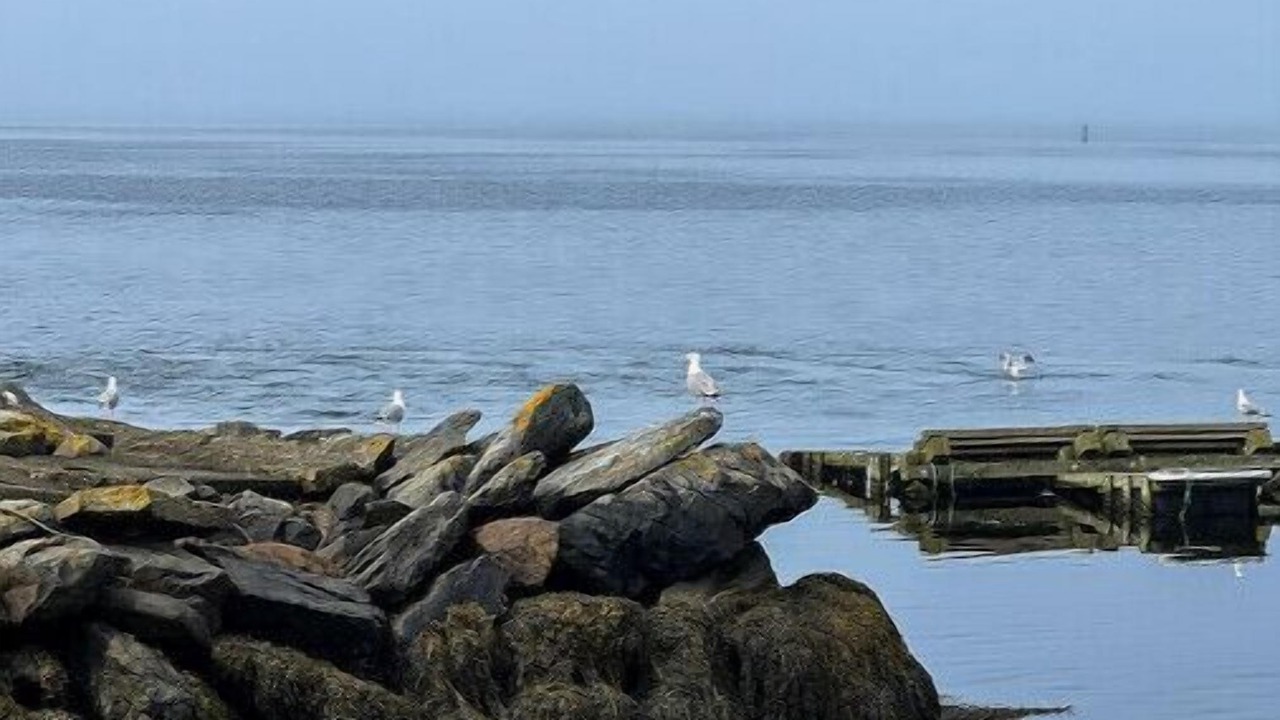 Photo of Others in Yarmouth