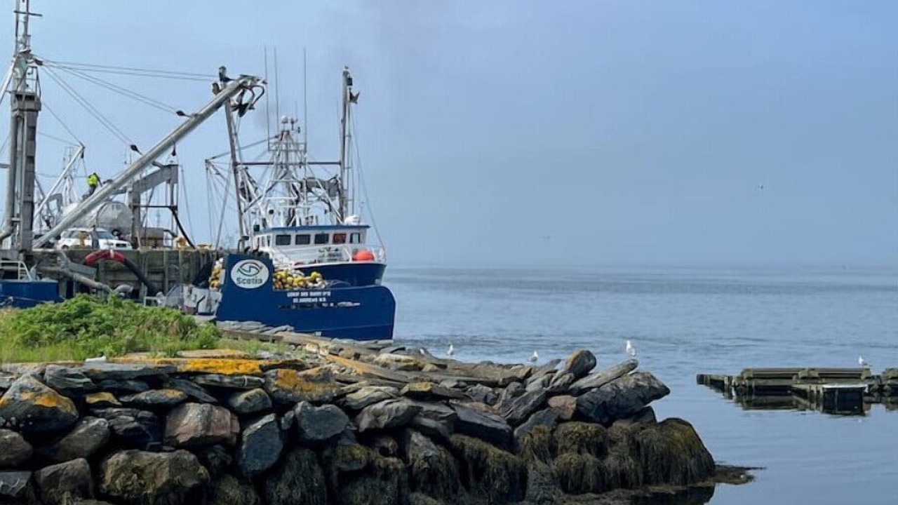 Photo of Others in Yarmouth