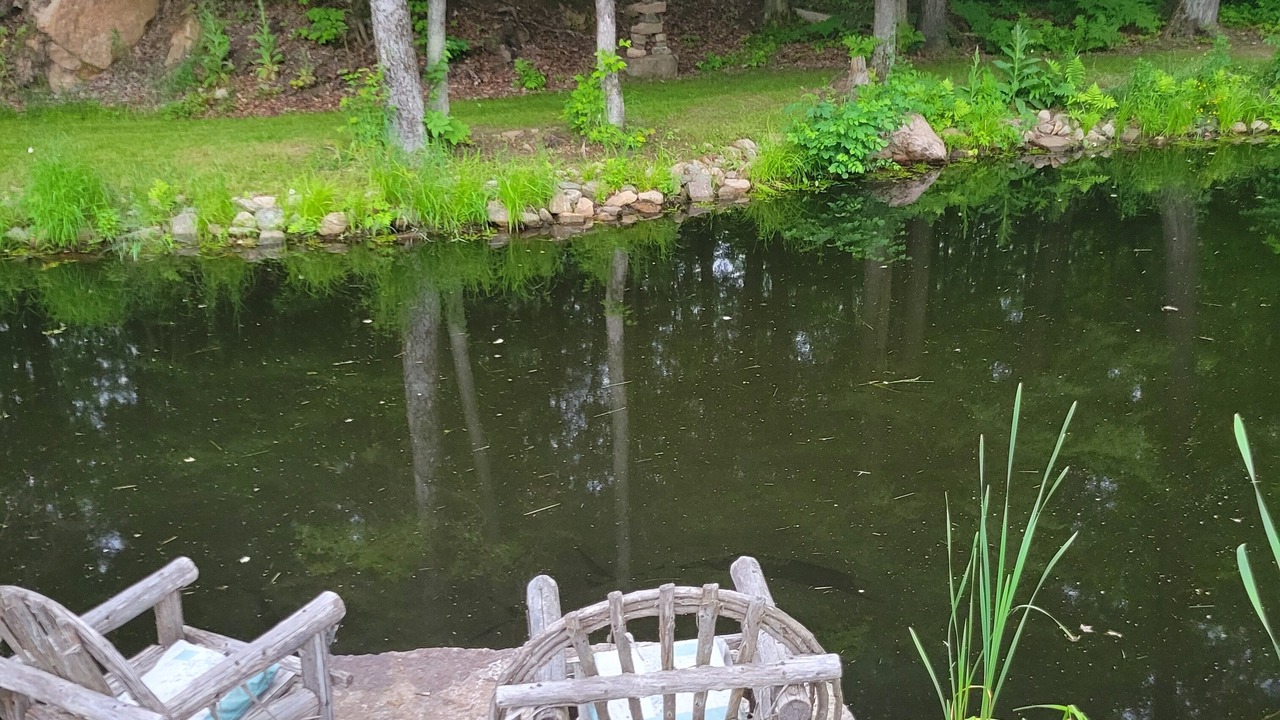 Photo of Outdoor in Killaloe