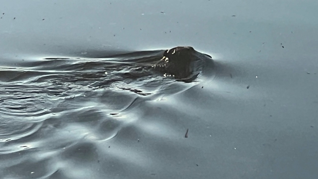 Photo of Others in Douro-Dummer