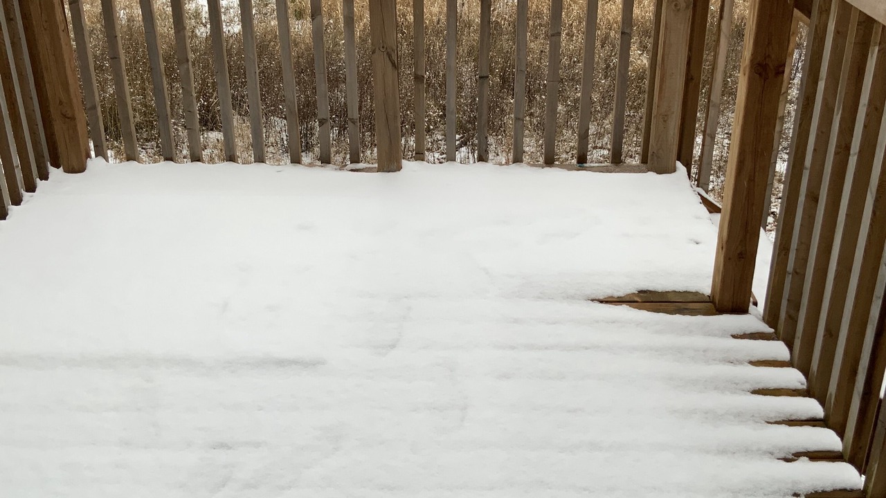 Photo of Outdoor in Welland