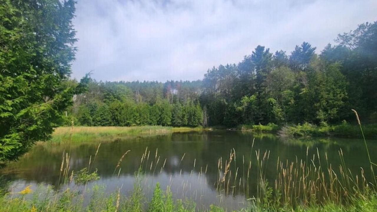 Photo of Others in Mulmur