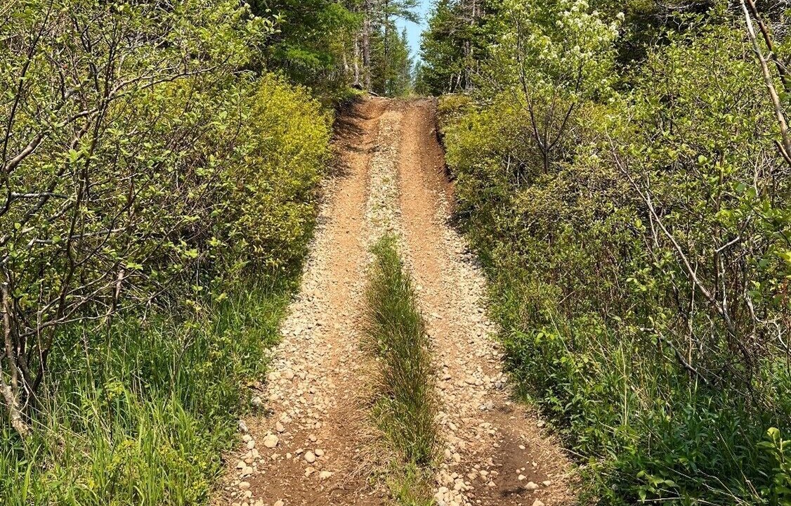 Photo of Others in Terra Nova