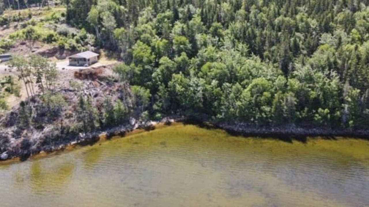 Photo of Outdoor in South Harbour
