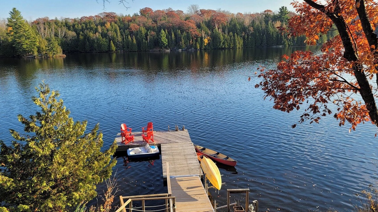 Photo of Others in McKellar