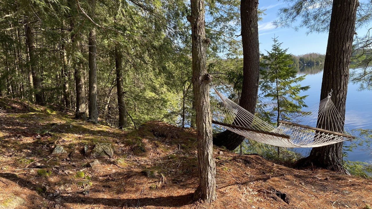 Photo of Outdoor in Trent Lakes