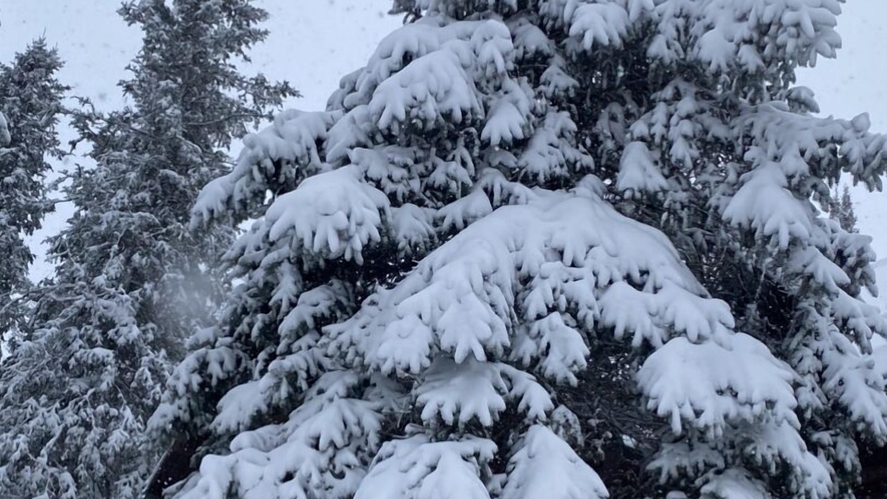 Photo of Outdoor in Sioux Narrows Nestor Falls