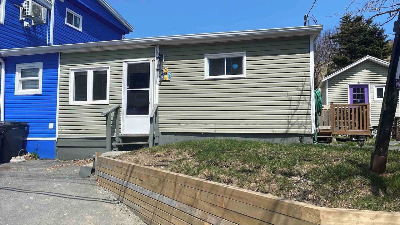Photo of Others in Quidi Vidi