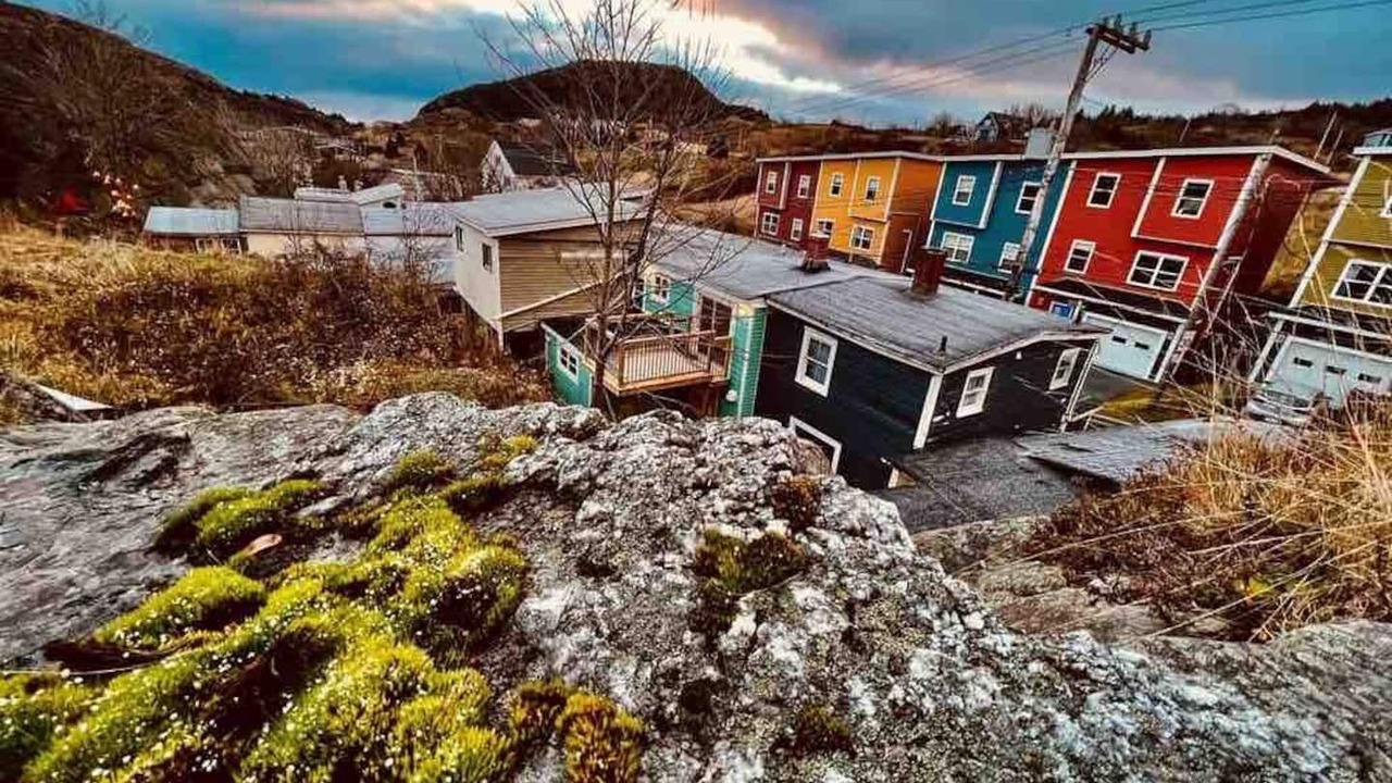 Photo of Others in Quidi Vidi