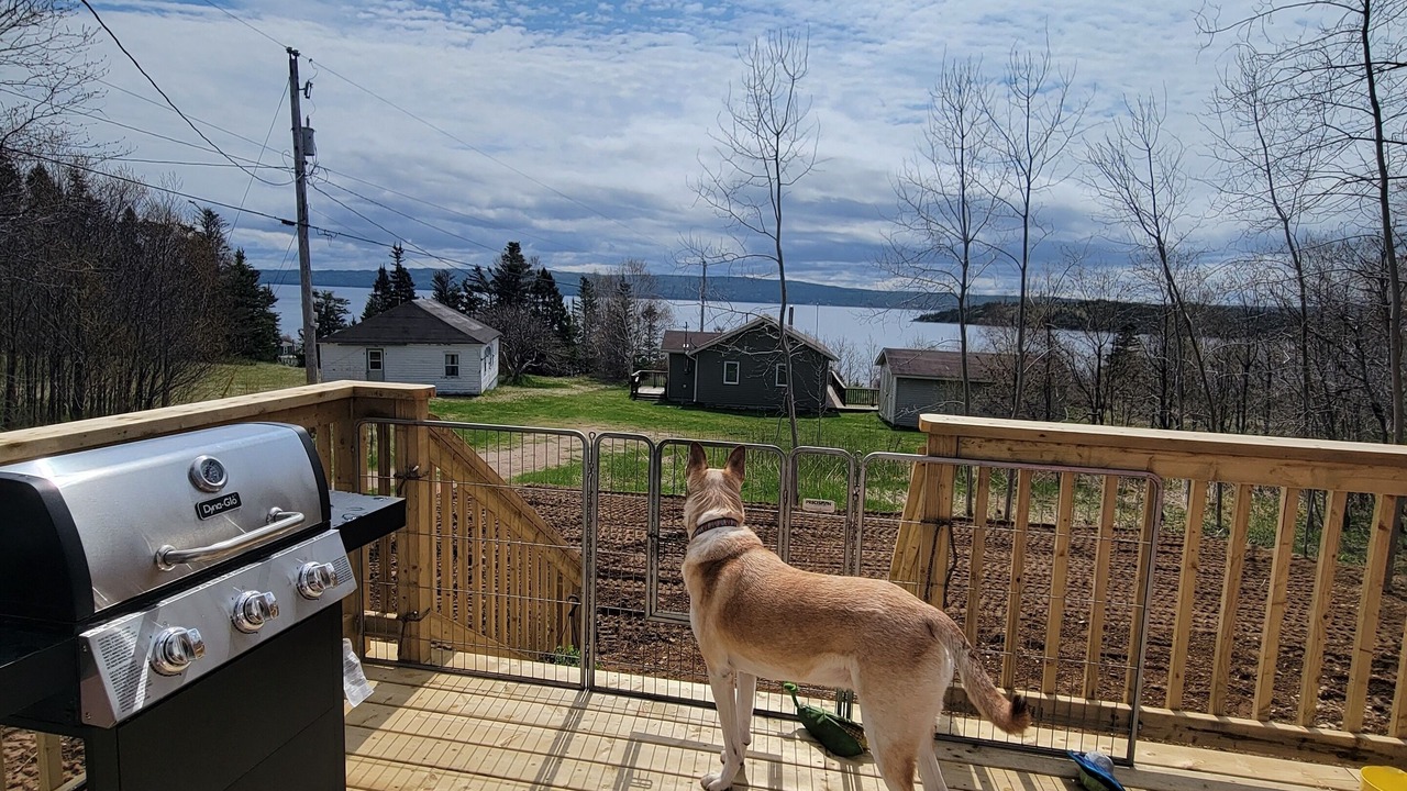 Photo of Patio Balcony in Charlottetown