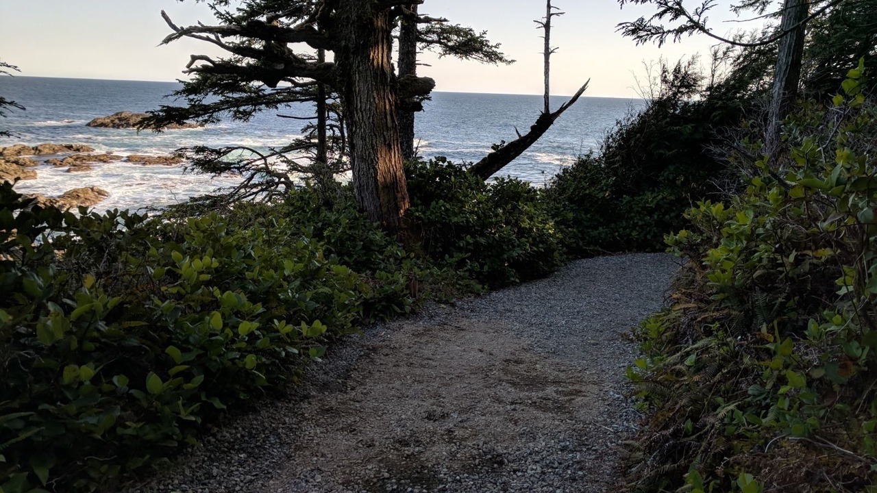 Photo of Outdoor in Ucluelet