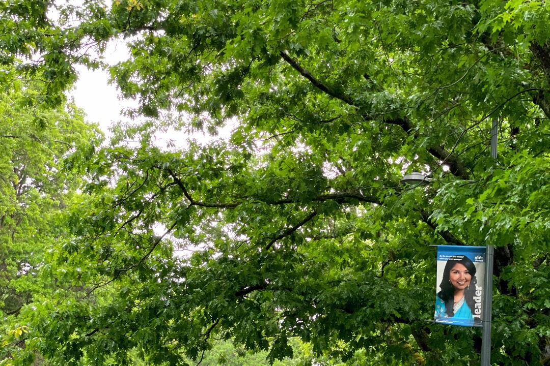 Photo of Others in West Point Grey
