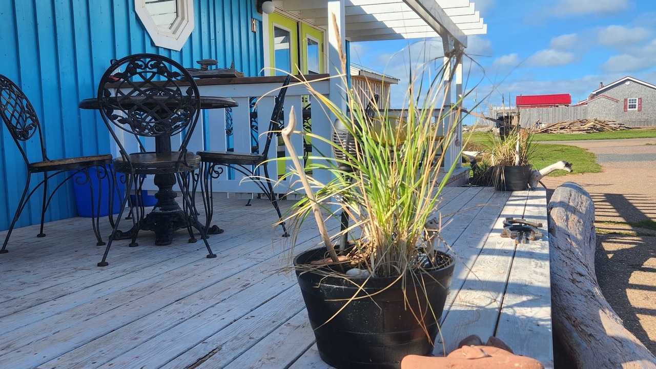 Photo of Outdoor in North Lake