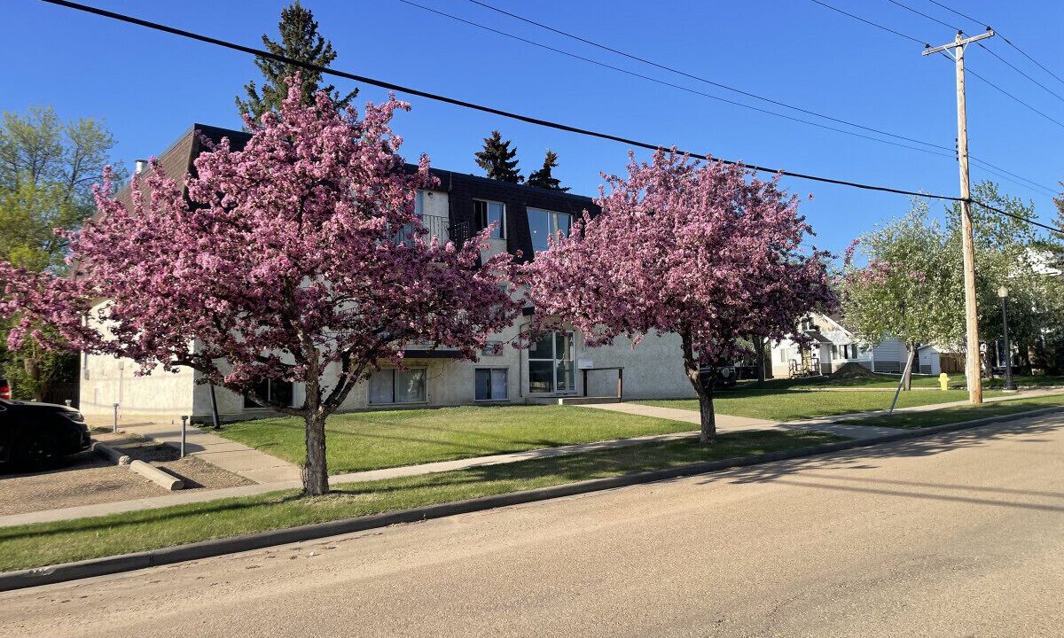 Photo of Outdoor in Camrose