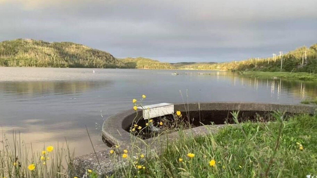 Photo of Others in Placentia