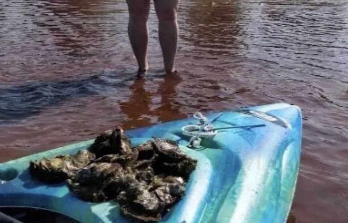Photo of Others in Prince County