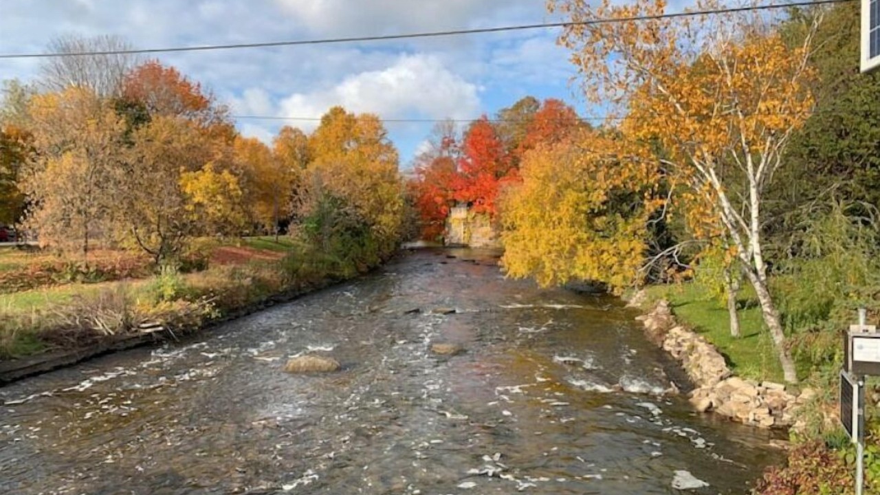 Photo of Others in Brock