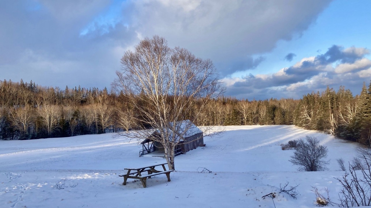 Photo of Others in Judique