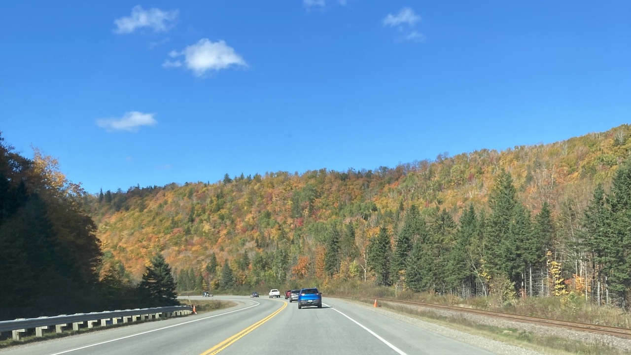 Photo of Outdoor in Judique