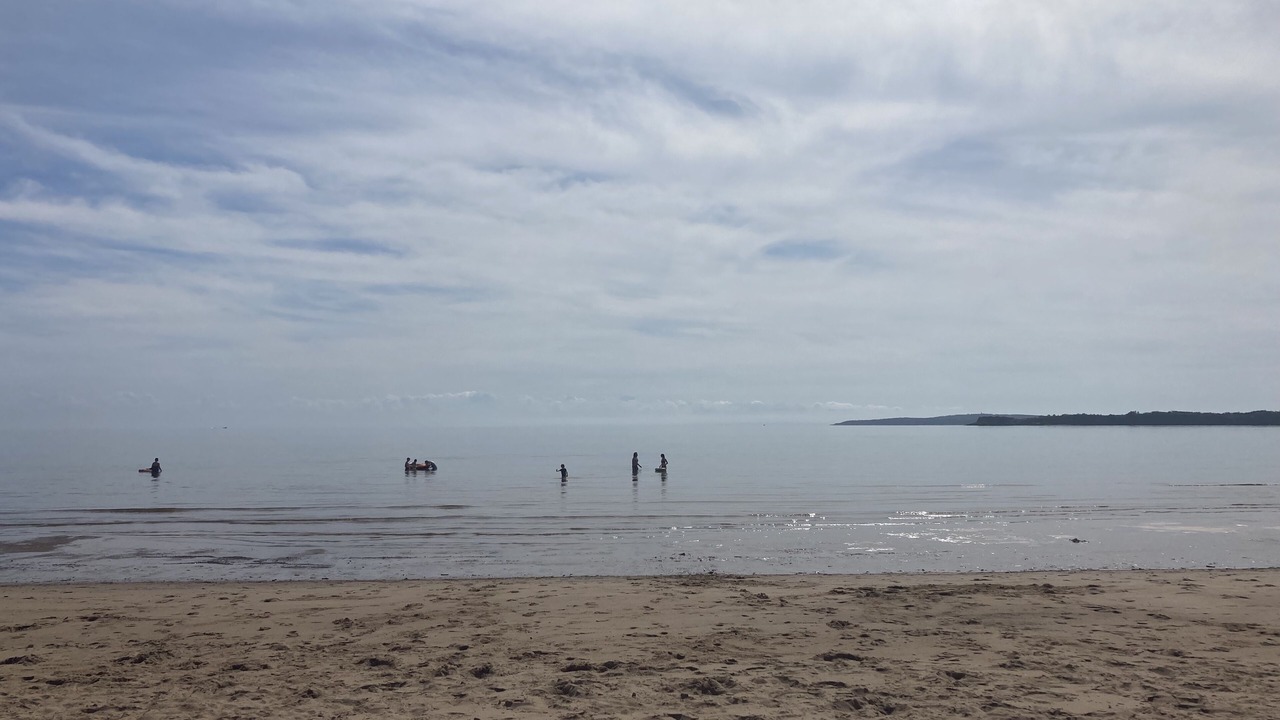 Photo of Others in Judique