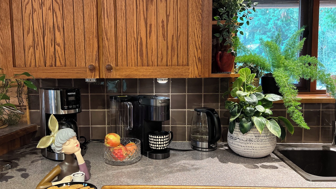 Photo of Kitchen in Mission