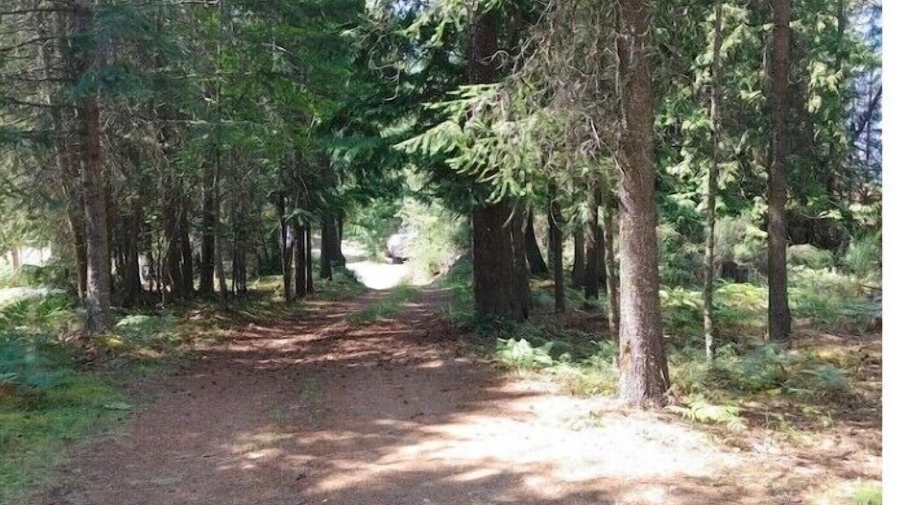 Photo of Outdoor in Riondel