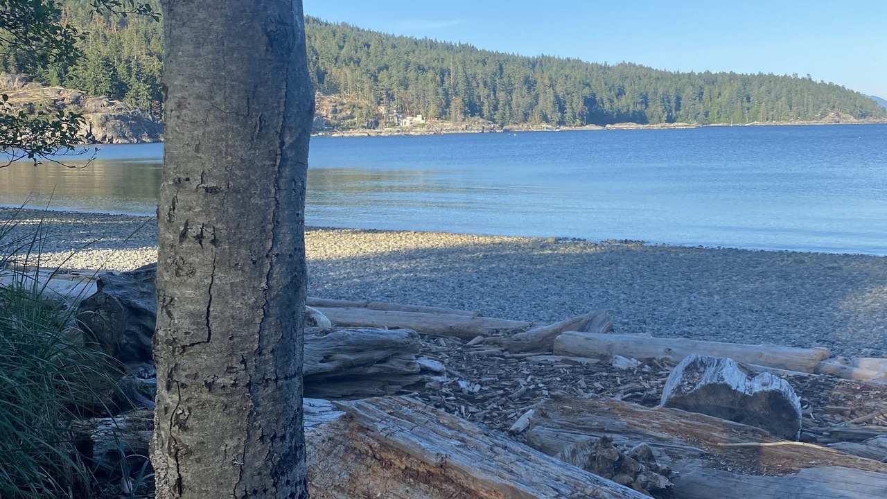 Photo of Others in Halfmoon Bay