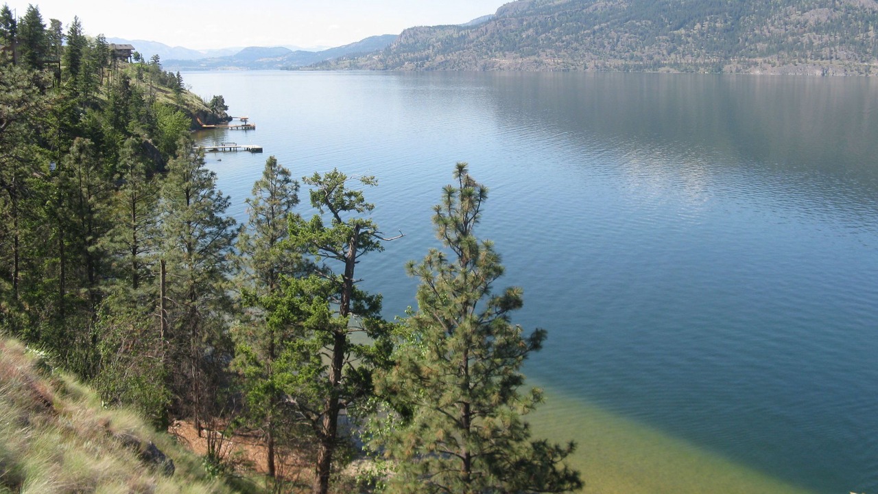 Photo of Others in Central Okanagan