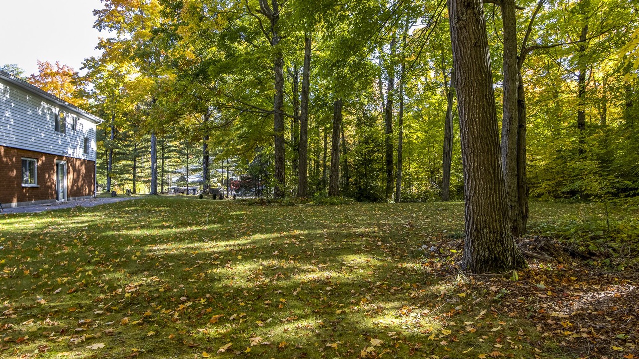 Photo of Outdoor in Tiny