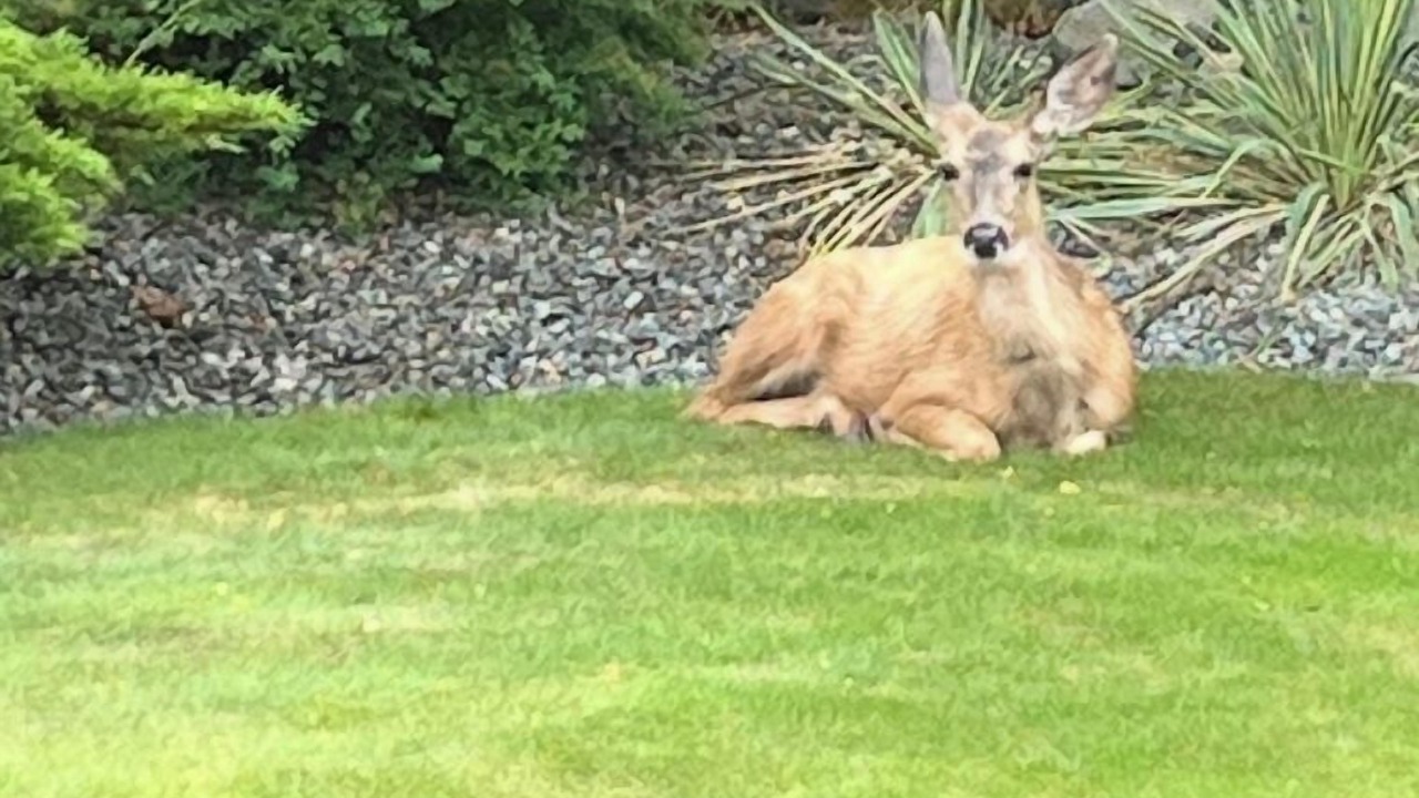 Photo of Outdoor in Kamloops