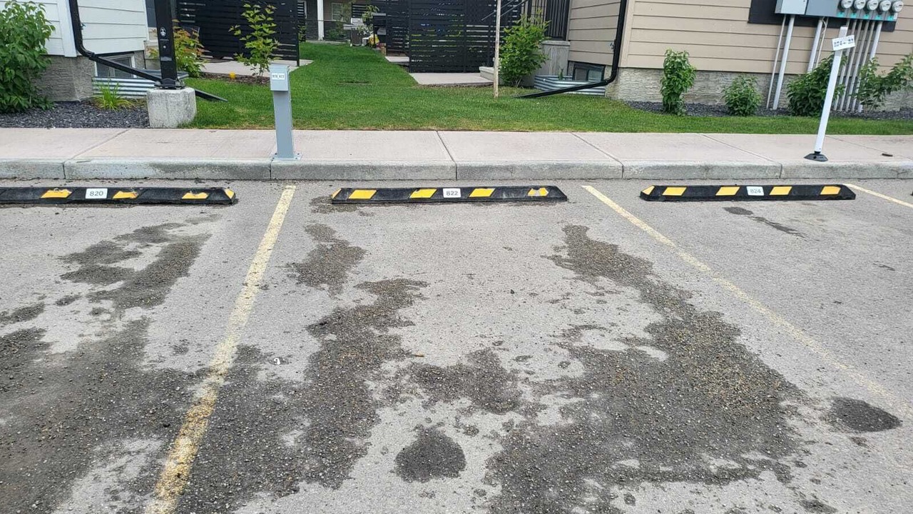 Photo of Outdoor in Calgary