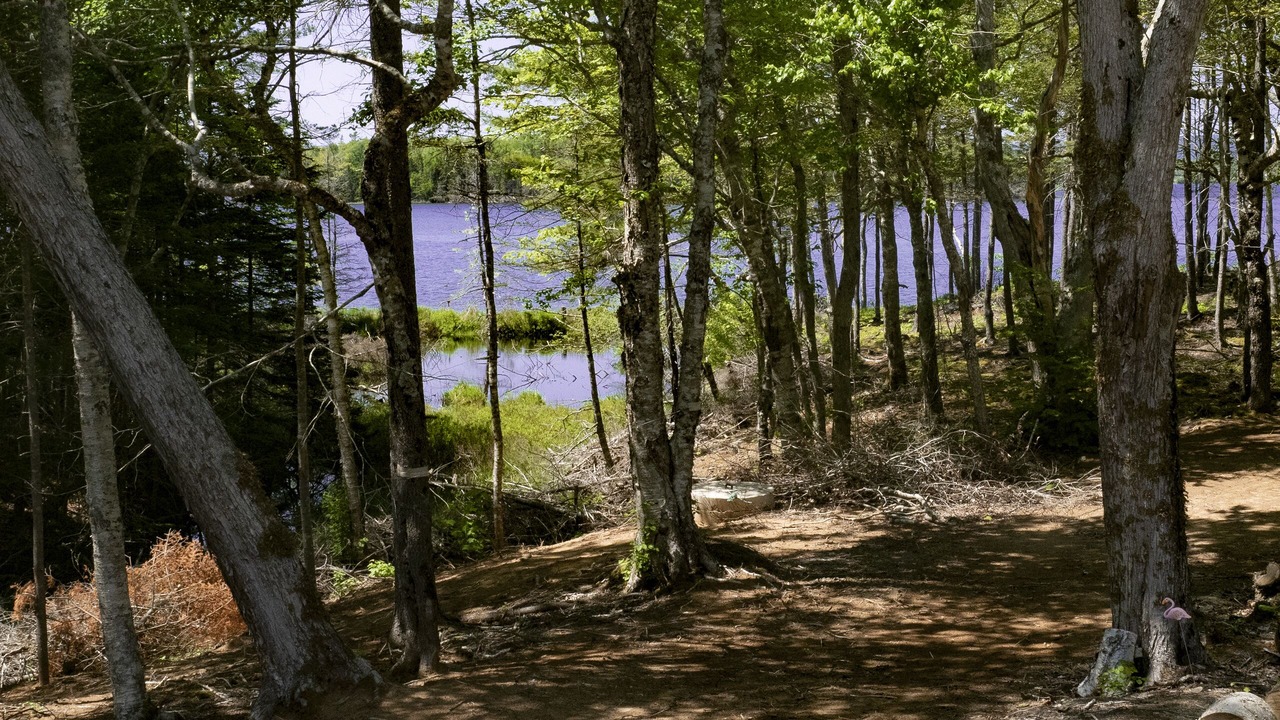 Photo of Outdoor in Cape Breton Island
