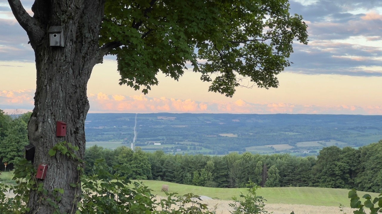 Photo of Others in Grey Highlands