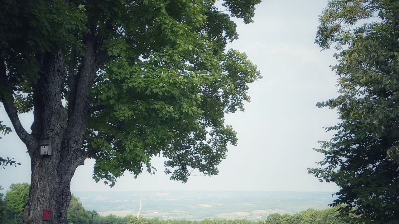 Photo of Others in Grey Highlands