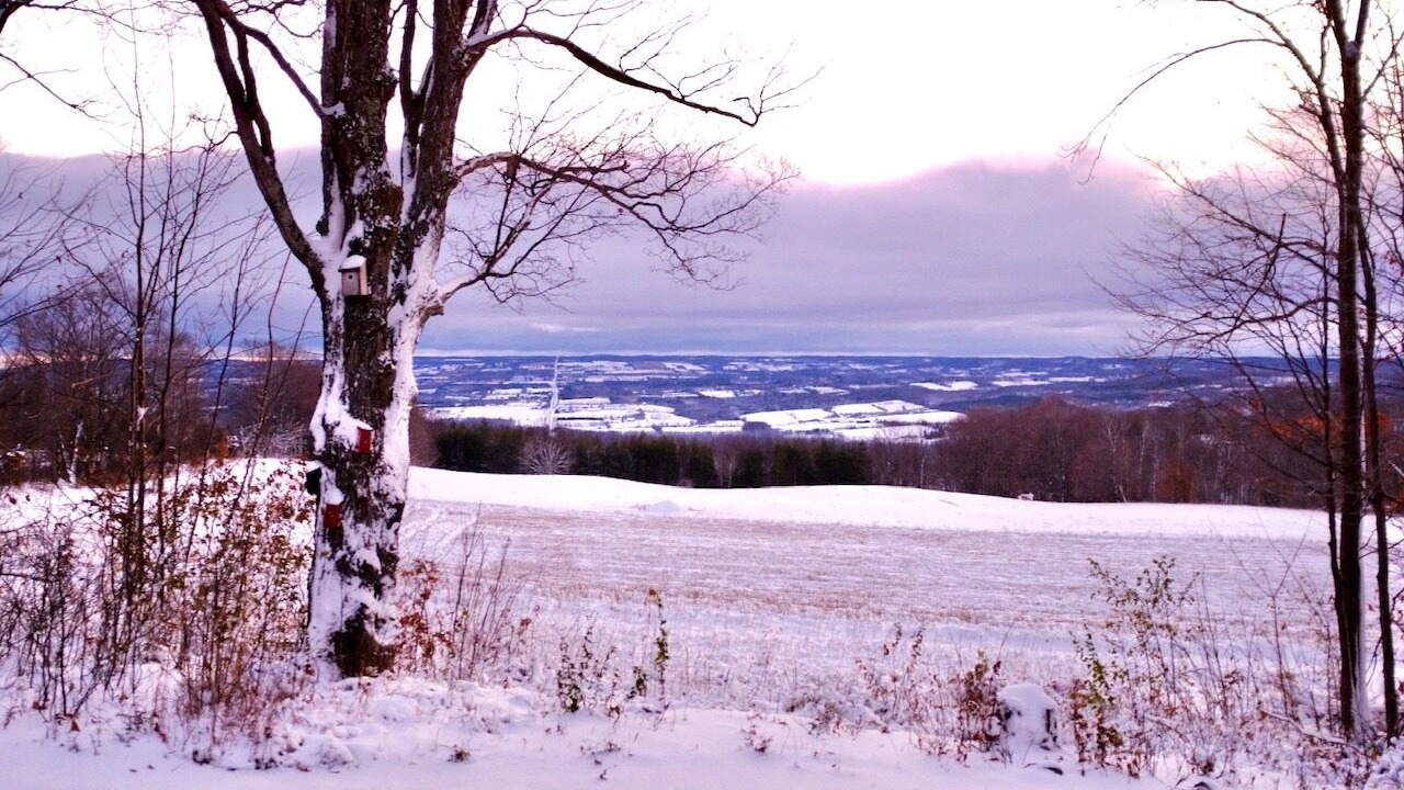 Photo of Outdoor in Grey Highlands