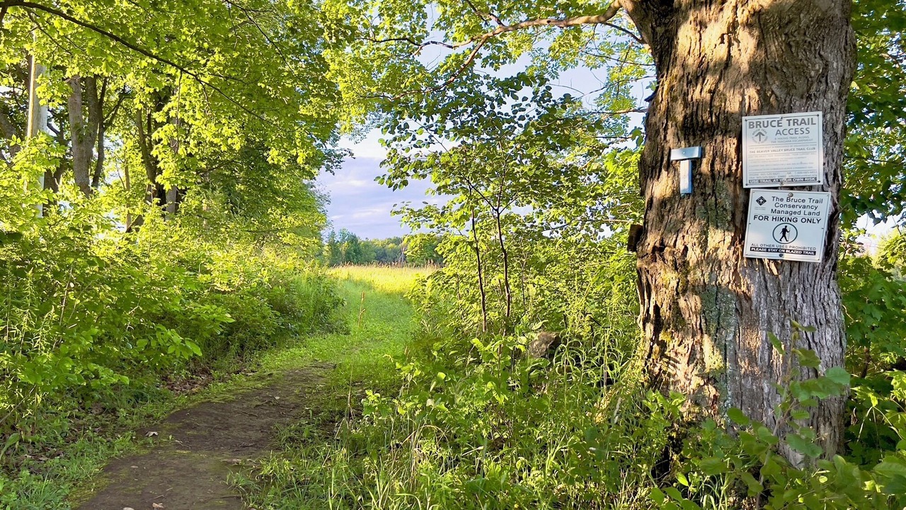 Photo of Outdoor in Grey Highlands