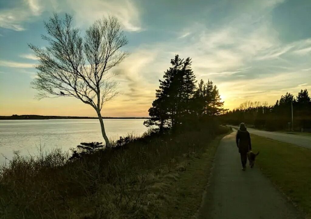 Photo of Outdoor in Stanhope