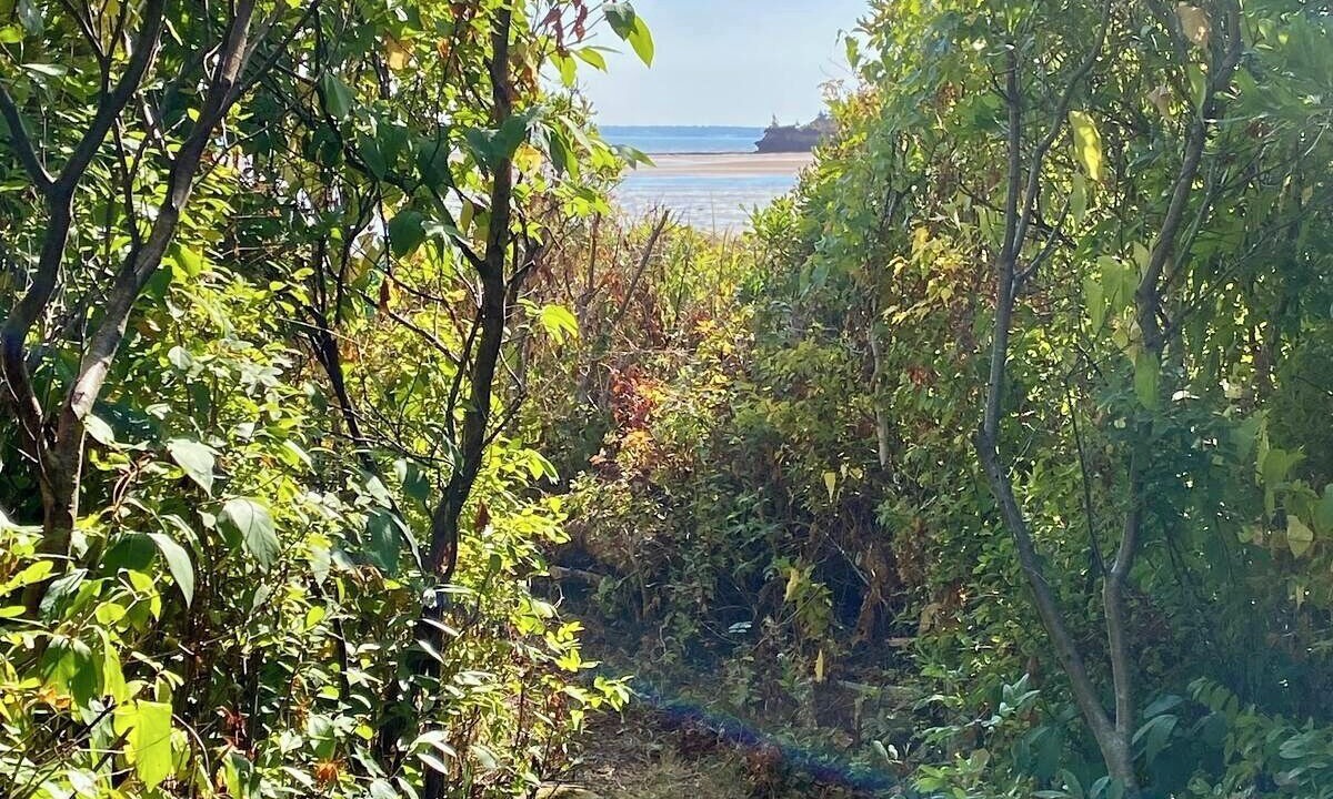 Photo of Others in Shemogue