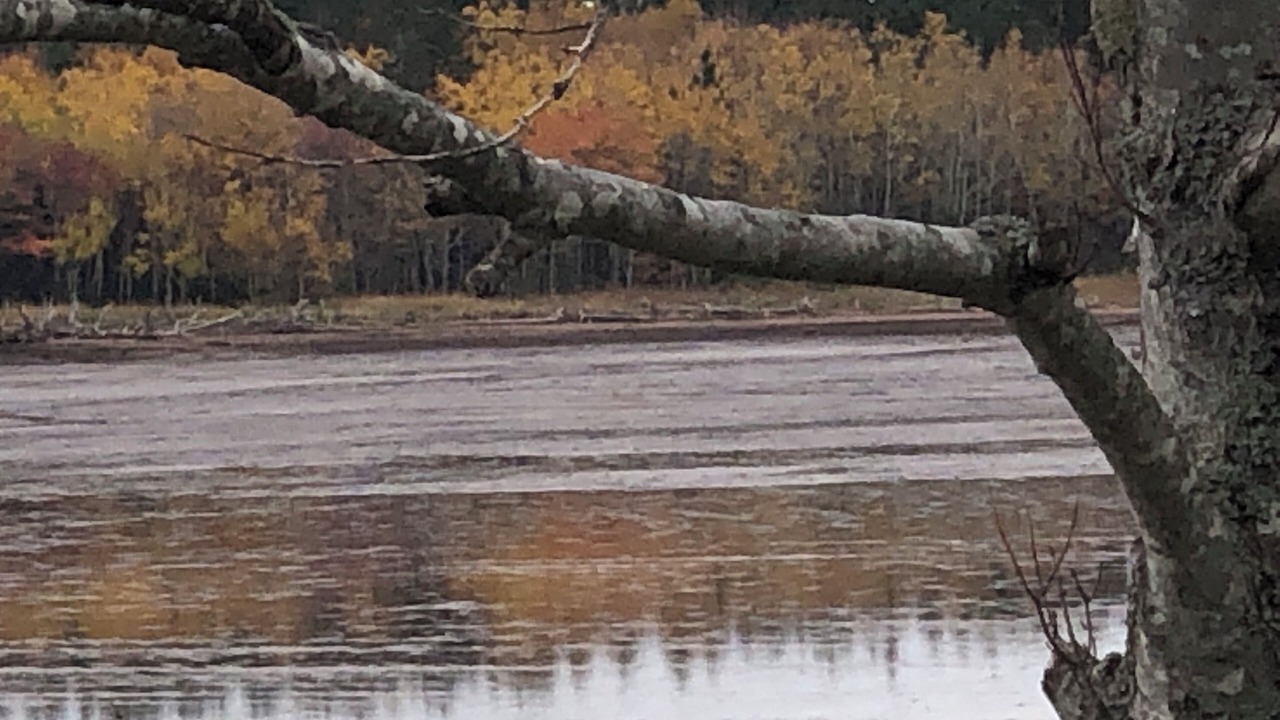 Photo of Others in Shemogue