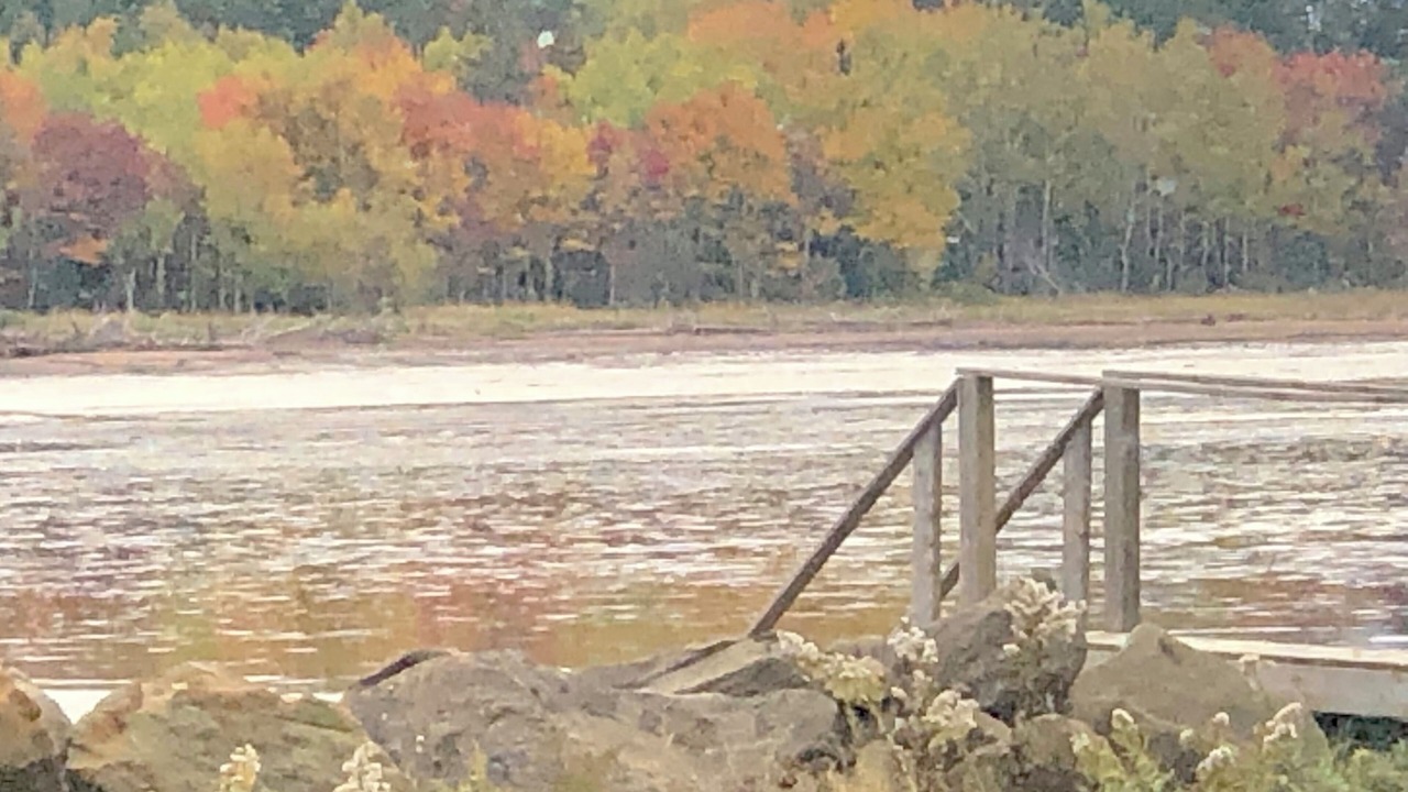 Photo of Others in Shemogue