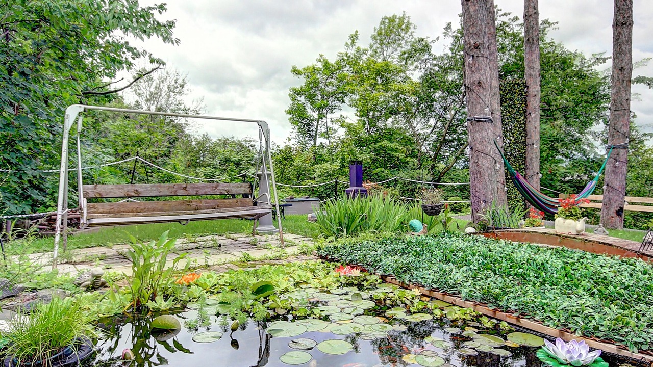 Photo of Outdoor in Desjardins