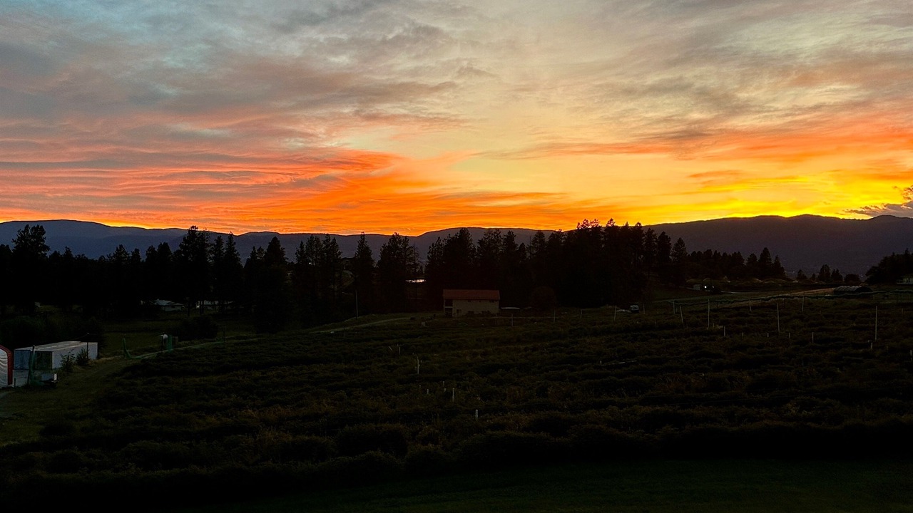 Photo of Others in Southeast Kelowna