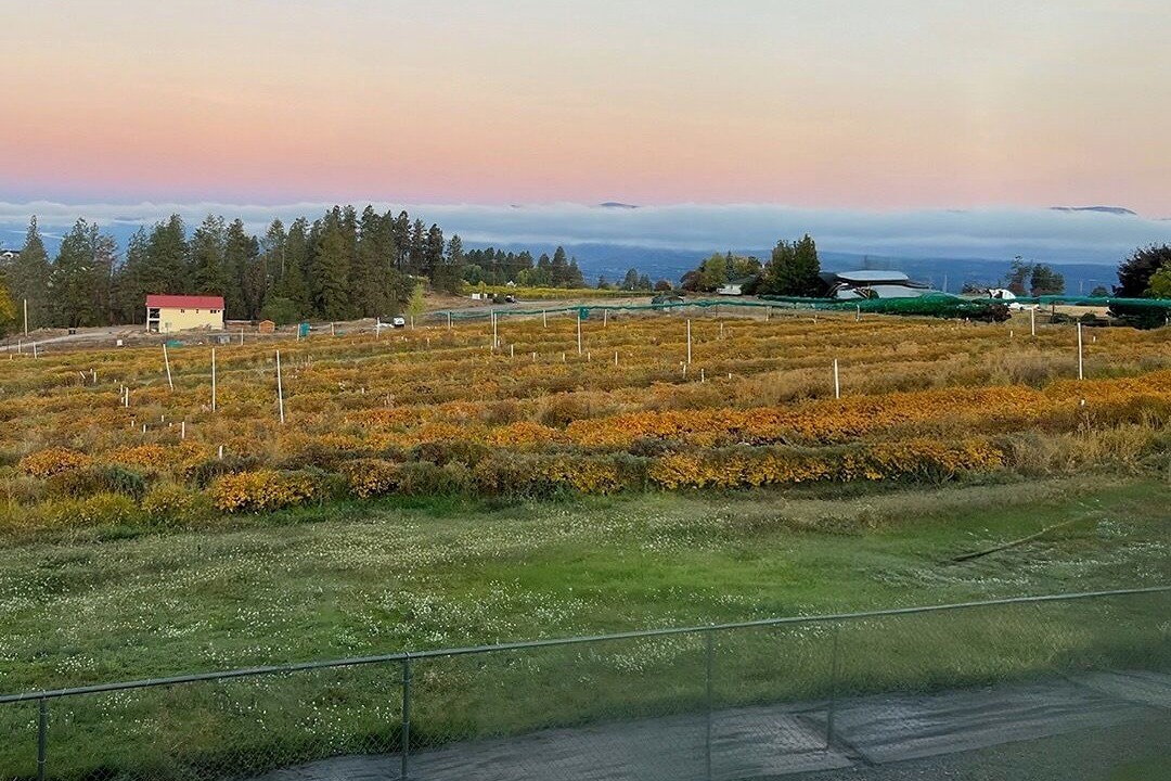 Photo of Others in Southeast Kelowna