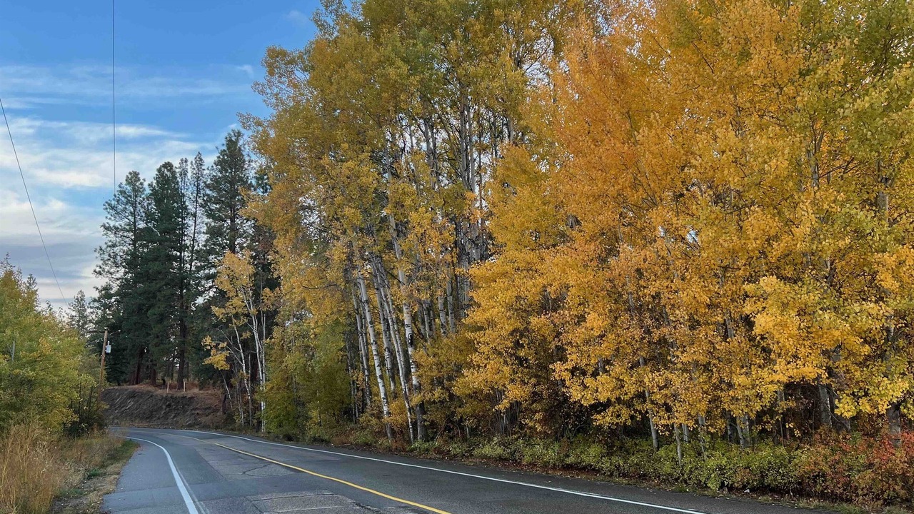Photo of Others in Southeast Kelowna